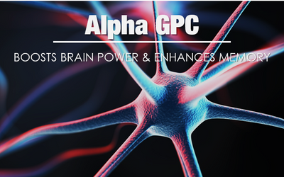 Memory and Learning with Alpha Glyceryl Phosphorylcholine (Alpha GPC)