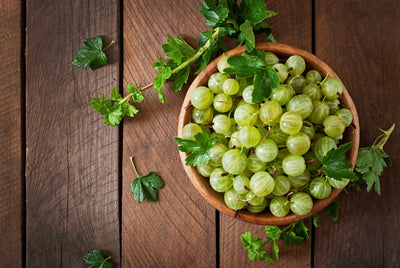 Potent Medicinal and Nutritious Capacities of Amla Fruit