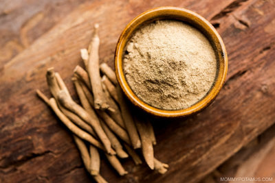 Ashwagandha: Bringing Calm and Balance to the Body and Mind