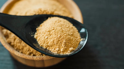 Maca Root: Energy, Vitality, and Nootropic Brain Booster