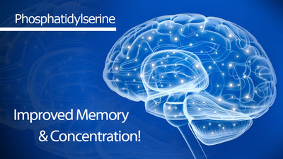 Phosphatidylserine for Improved Memory