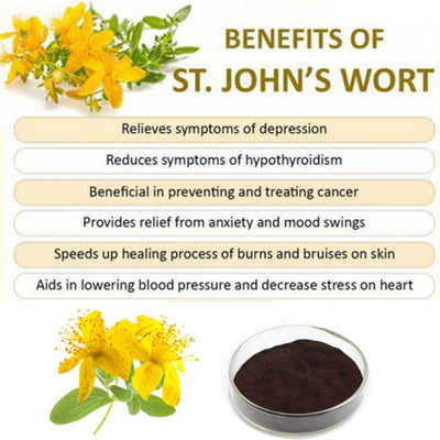 St. John's Wort: Neuroprotectant Nootropic Fights Depressive and Anxiety-Related Symptoms